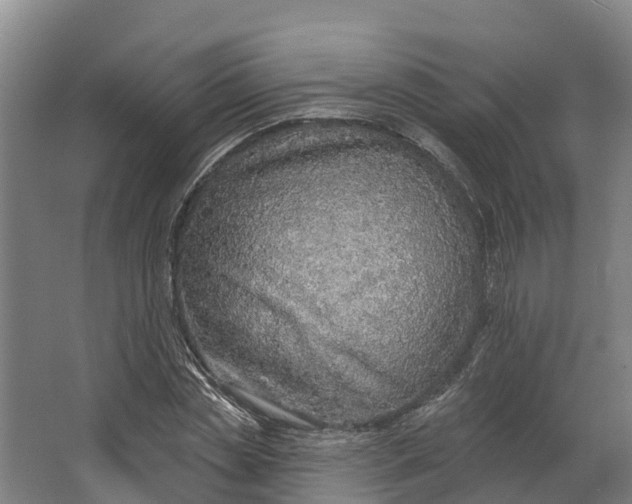 X0000062640829200601041055