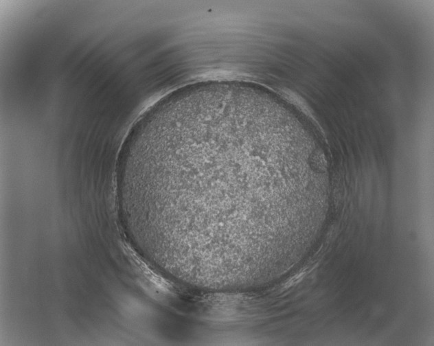 X0000062640831200601041055