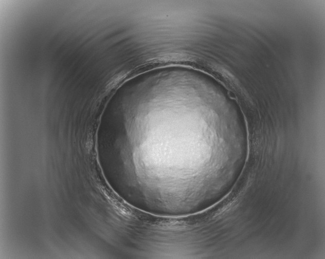 X0000062640833200601041055