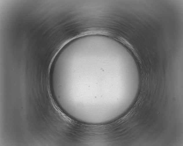 X0000062640836200601041055