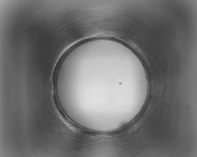 X0000062640838200601041055