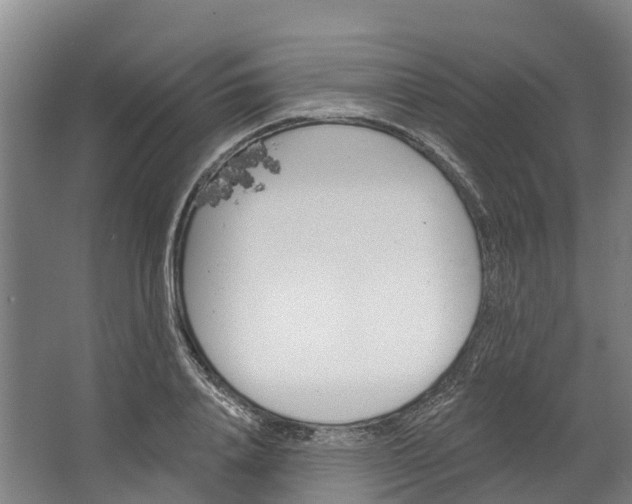 X0000062640840200601041055