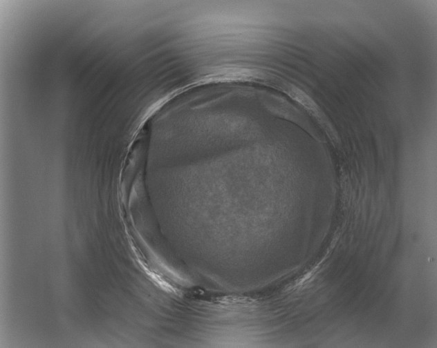 X0000062640842200601041055