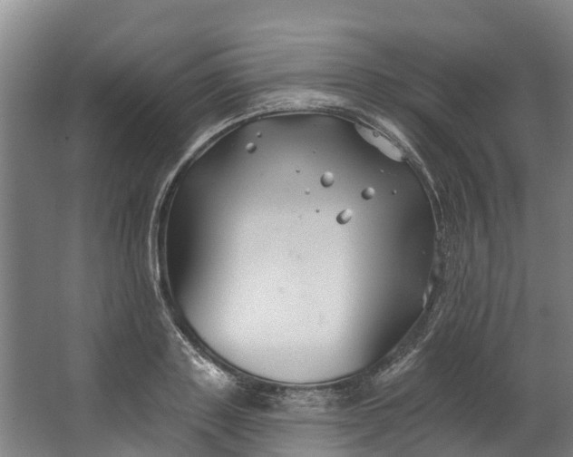 X0000062640843200601041055