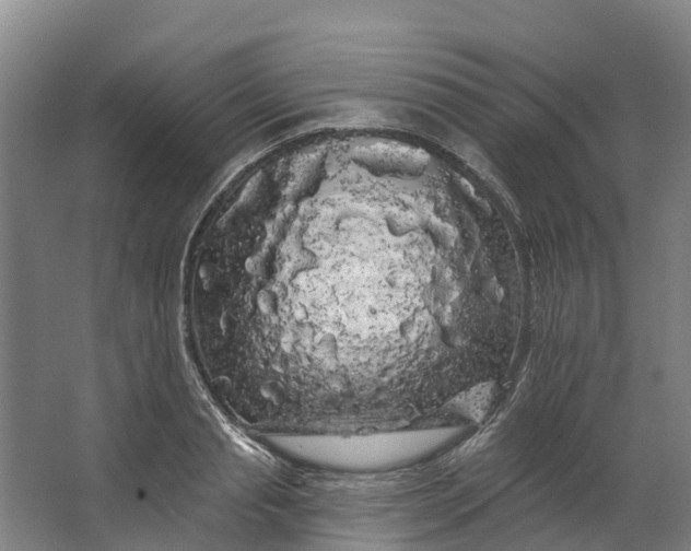 X0000062640845200601041055