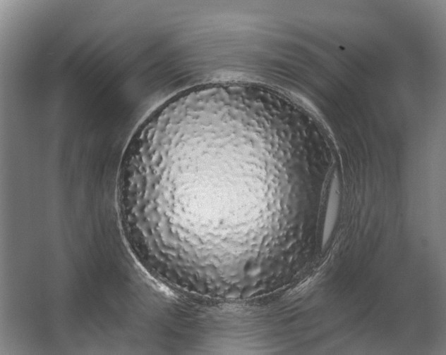 X0000062640847200601041055