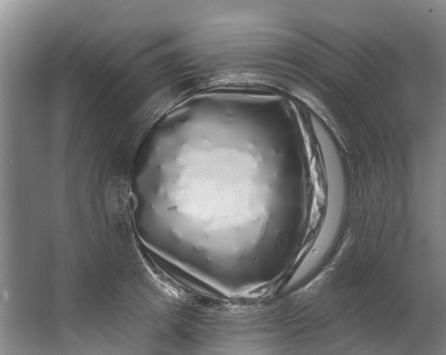 X0000062640849200601041055