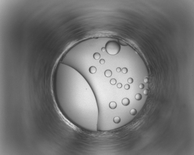 X0000062640851200601041055