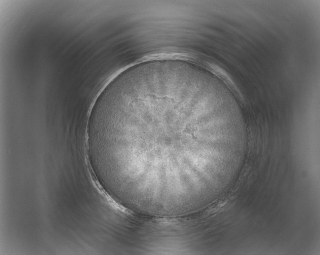 X0000062640852200601041055