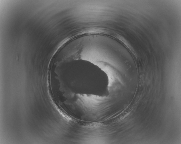 X0000062640853200601041055