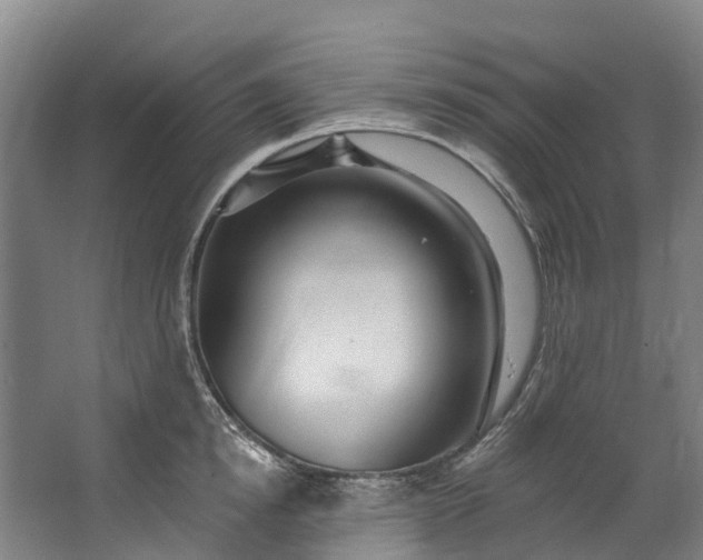 X0000062640854200601041055