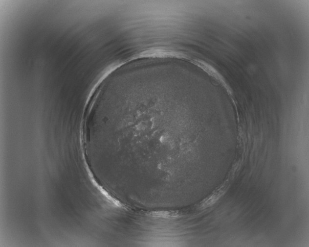 X0000062640855200601041055