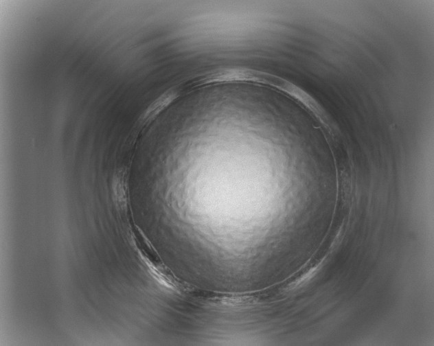 X0000062640857200601041055