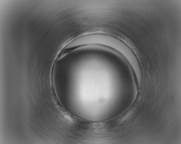 X0000062640858200601041055