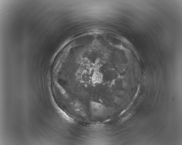 X0000062640859200601041055