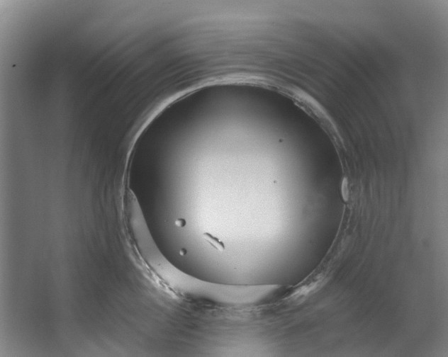 X0000062640860200601041055