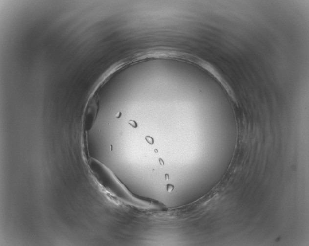 X0000062640861200601041055