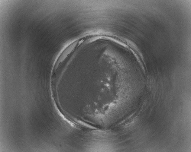 X0000062640863200601041055