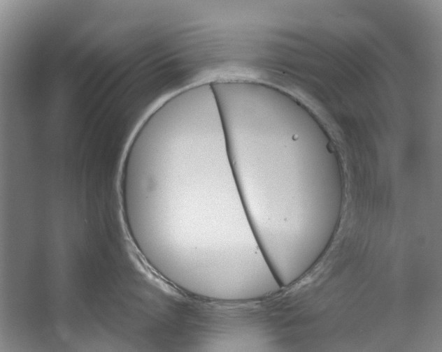 X0000062640864200601041055