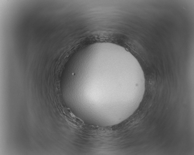 X0000062640865200601041054