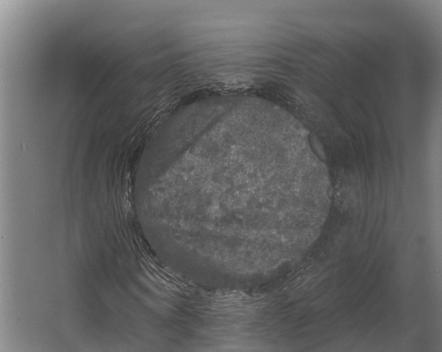 X0000062640866200601041054