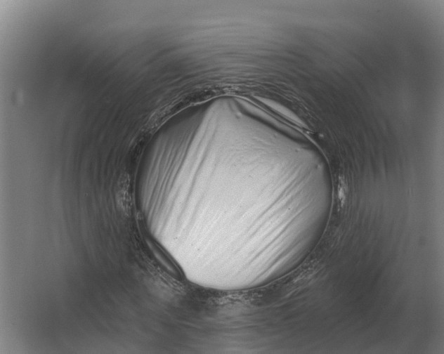 X0000062640867200601041054