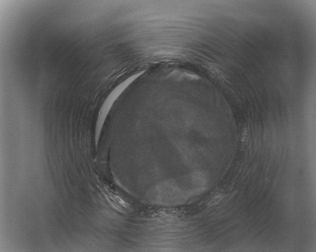 X0000062640868200601041054