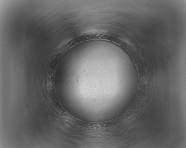 X0000062640869200601041054