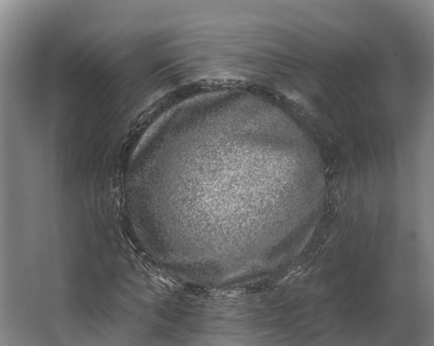 X0000062640870200601041054