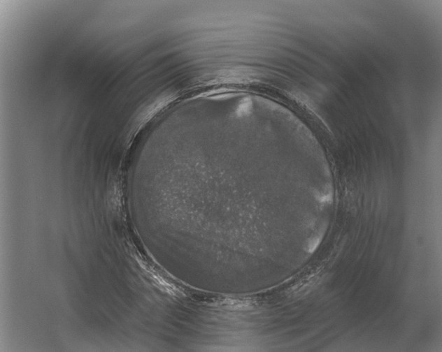 X0000062640874200601041054