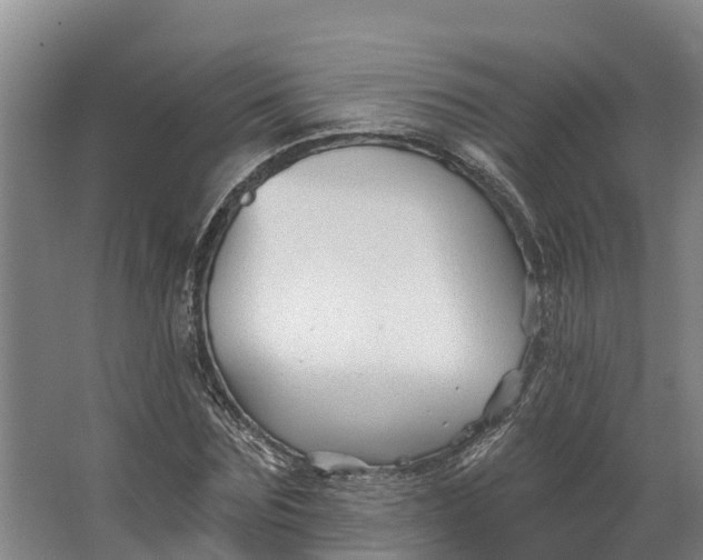 X0000062640875200601041054