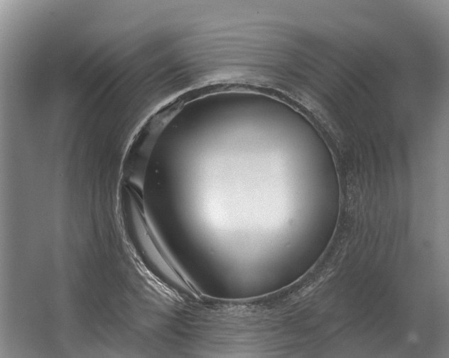 X0000062640880200601041054