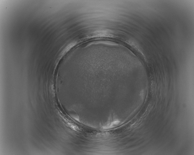 X0000062640882200601041054