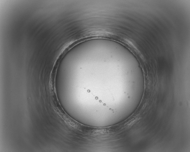 X0000062640883200601041054