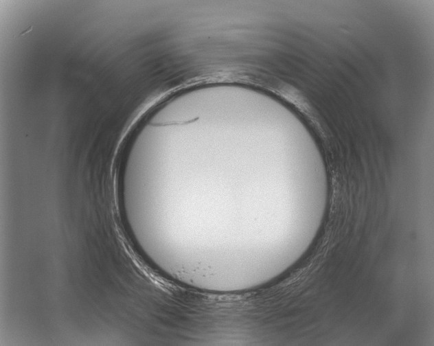 X0000062640886200601041054