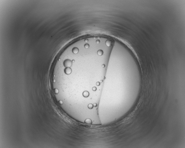 X0000062640887200601041054