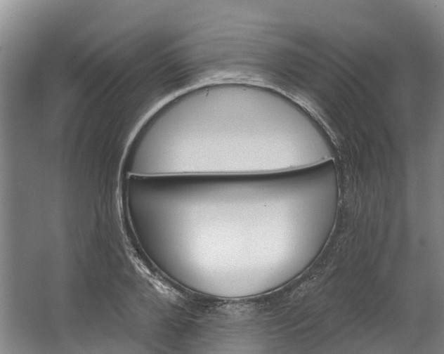 X0000062640888200601041054