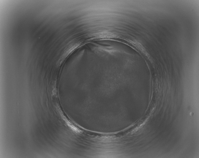 X0000062640889200601041054