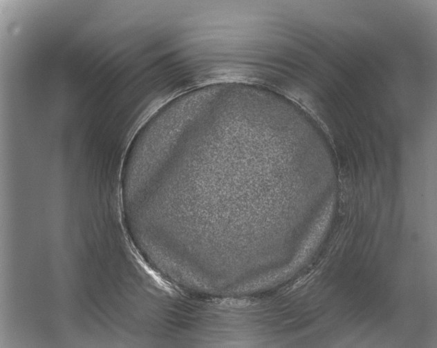 X0000062640890200601041054