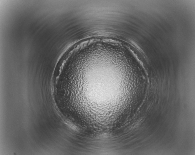 X0000062640891200601041054