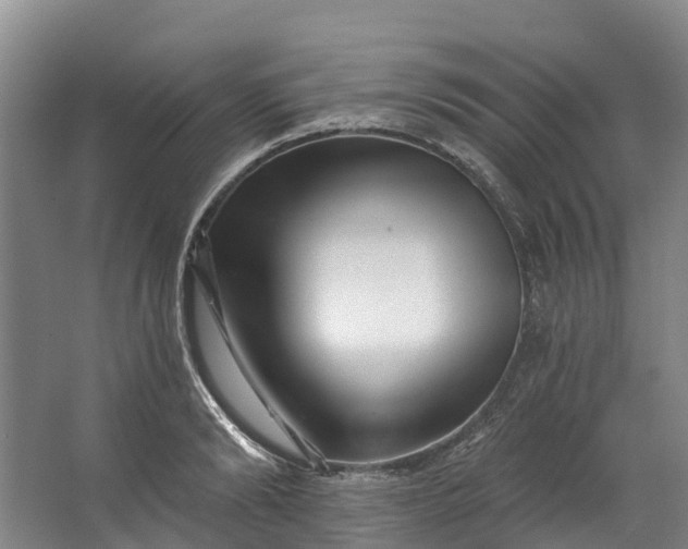 X0000062640894200601041054