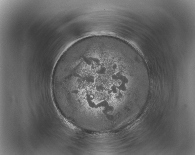 X0000062640895200601041054