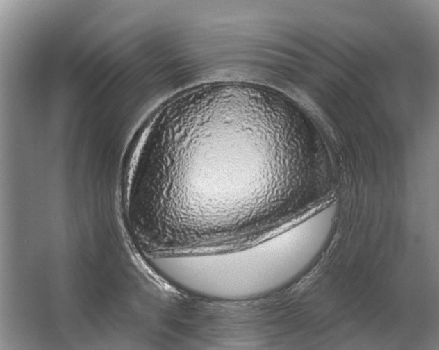 X0000062640896200601041054