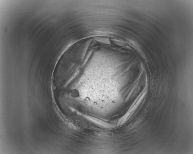 X0000062640899200601041054