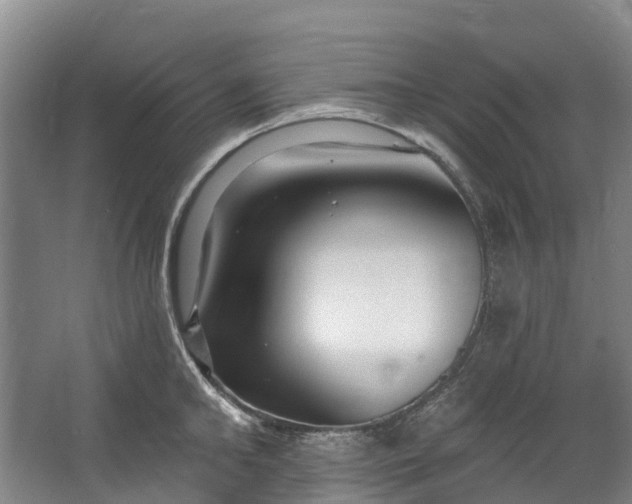 X0000062640902200601041054