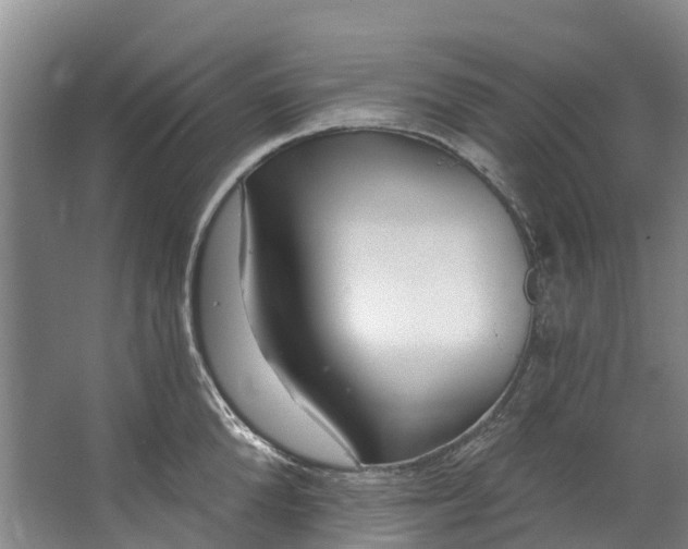 X0000062640904200601041054