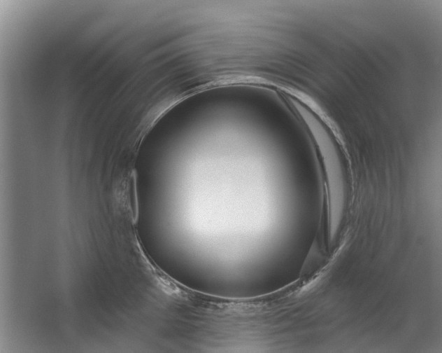 X0000062640905200601041054