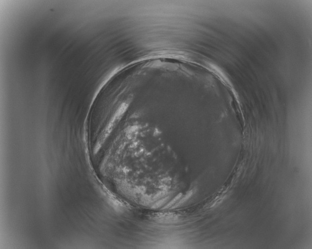 X0000062640907200601041054