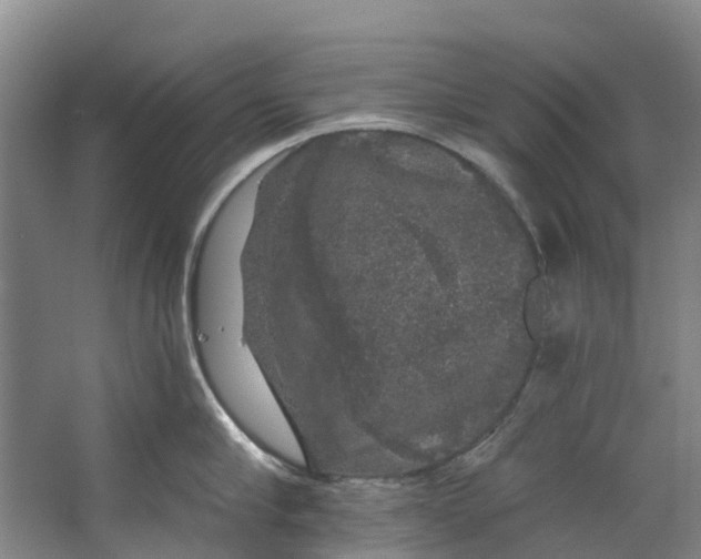 X0000062640910200601041054