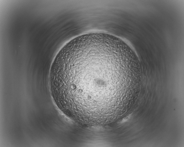 X0000062640911200601041054